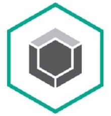 KL4867RAPFE Kaspersky Endpoint Security для бизнеса – Расширенный 25-49 users Educational  License
