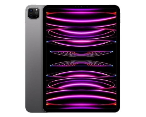 [Планшетный компьютер] Apple iPad Pro 12.9-inch 2022 256GB Wi-Fi + Cellular - Space Gray [MP203RK/A]