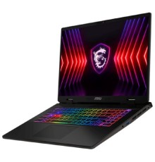 MSI Sword 17 HX B13VEKG-200XRU [9S7-17T214-200] Grey 17