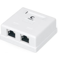 Cabeus WS-8P8C-Cat.6-SH-2 Розетка компьютерная RJ-45(8P8C), категория 6, экранированная, двойная, внешняя, Dual IDC