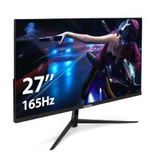 LCD ExeGate 27