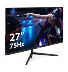 LCD ExeGate 27