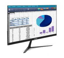 LCD ExeGate 24.5
