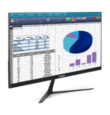 LCD ExeGate 24.5