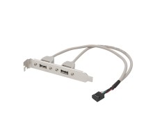 Bion планка портов 2xUSB2.0, 30 см [BXP-MB-2USB]