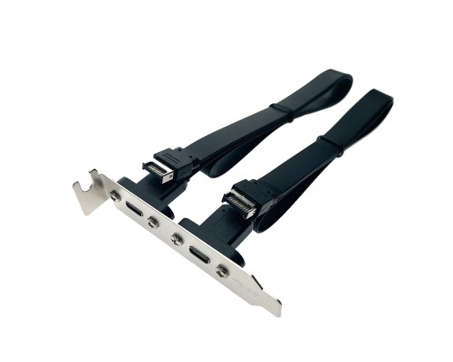 [кабели] Espada Планка в корпус USB C 3.2 Gen2x2 2 порта, EbrLow22, 20Gbps низкопрофильная (46002)