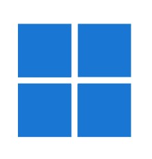 Windows 11 Pro Upgrade