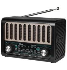 RITMIX RPR-020