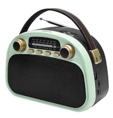 RITMIX RPR-040 MINT
