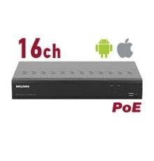 BEWARD RK1116-P