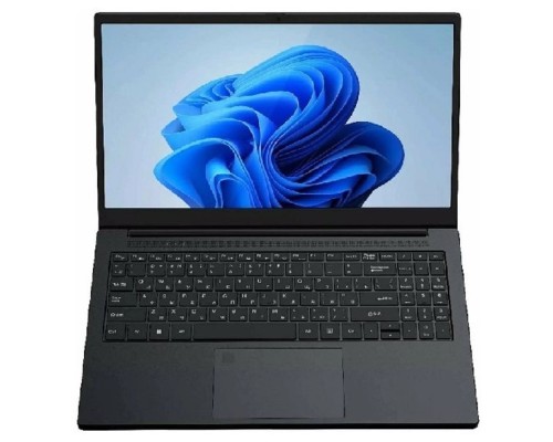 [Ноутбук] Ноутбук серии Rikor модель R-N NINO 200/AMD-029 (КДБА.466259.014-04) [15,6