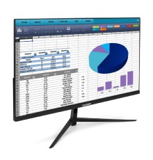 LCD ExeGate 23.8