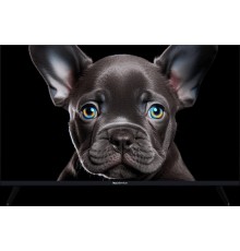 Topdevice 32