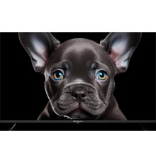 Topdevice 43