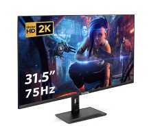 LCD ExeGate 31.5