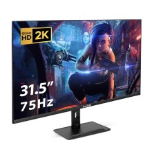 LCD ExeGate 31.5