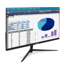 LCD ExeGate 23.8
