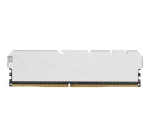 Netac DDR4 DIMM 8GB NTSSD4P32SP-08W PC4-25600, 3200MHz