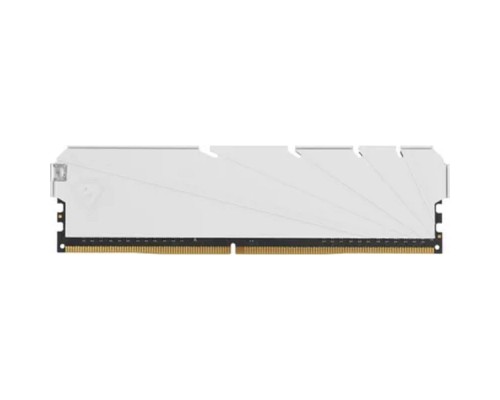 [Модуль памяти] Netac DDR4 DIMM 8GB NTSSD4P32SP-08W PC4-25600, 3200MHz