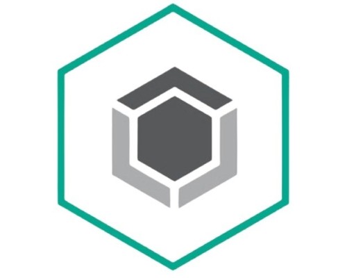[Неисключительное право на использование ПО] KL4863RAPFE Kaspersky Endpoint Security для бизнеса – Стандартный 25-49 users Educational License