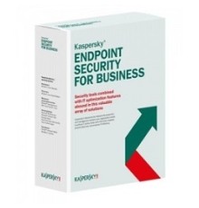 KL4863RAKDS Kaspersky Endpoint Security для бизнеса – Стандартный 10-14 Users Base License 2 year