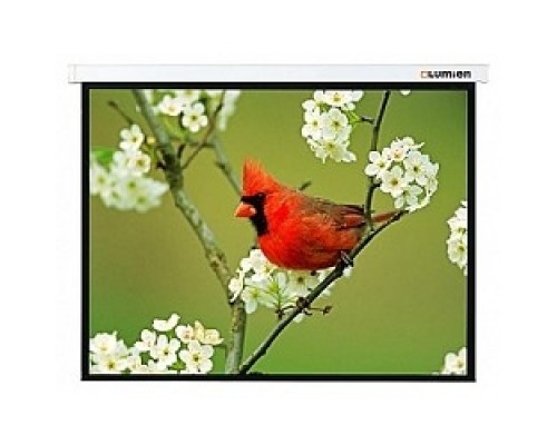 [Экраны LUMIEN] LUMIEN Master Picture LMP-100133,  220х141 см, 16:10 рабочая область (131x210)