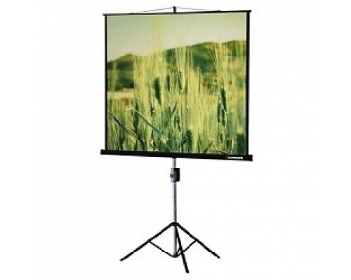 [Экраны LUMIEN] Lumien Eco View LEV-100102 Экран на треноге 180x180 см 1:1 с возможностью настенного крепления