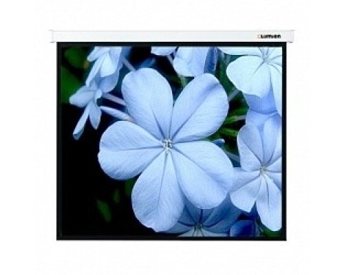 [Экраны LUMIEN] LUMIEN Master Picture LMP-100112 229x 305см  4:3 настенно-потолочный рулонный 
