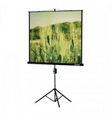 Lumien Master View LMV-100108 Экран на треноге (183х244), рабочая область (175х236) 4:3 напольный рулонный