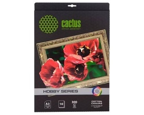 [Бумага] CACTUS CS-CA426010 Холст для струйной печати, A4, 300г/м2, 10 листов