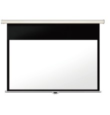 LUMIEN Master Picture CSR LMP-100118CSR Настенный экран 247x239 см(раб.область 234х234 см)(96
