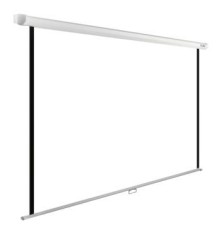 Экран Cactus WallExpert CS-PSWE-200x200-WT 200x200 см 1:1 настенно-потолочный рулонный