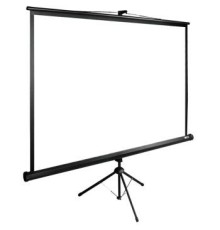 Экран Cactus TriExpert CS-PSTE-200x200-BK 200x200 см 1:1 напольный рулонный