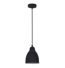Camelion PL-430S-1  С02  чёрный (Светильник подвесной LOFT,  1х E27, 60Вт, 230В, металл)