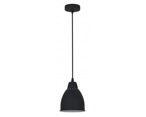 [Camelion Интерьерные светильники] Camelion PL-430S-1  С02  чёрный (Светильник подвесной LOFT,  1х E27, 60Вт, 230В, металл)
