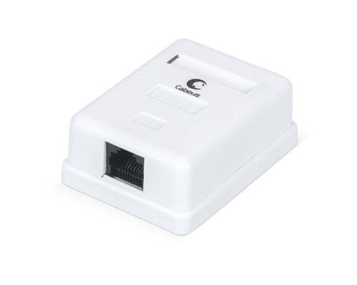[Cabeus Аксессуары к монтажным шкафам] Cabeus WS-8P8C-Cat.6-1 Розетка компьютерная RJ-45(8P8C), категория 6, одинарная, внешняя, Dual IDC