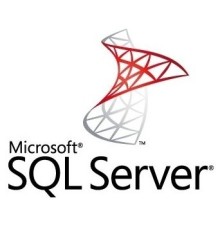 ПО Microsoft SQL Svr Standard Edtn 2019 English DVD 10 Clt (228-11548)