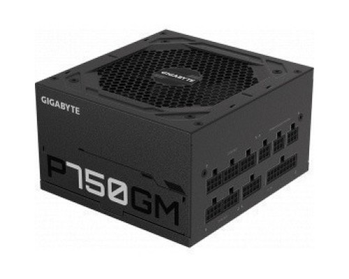 [блок питания ] Блок питания ATX2.31 750W GP-P750GM GIGABYTE