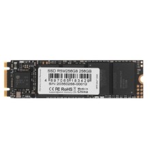 AMD SSD M.2 256GB Radeon R5 R5M256G8 
