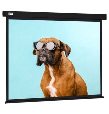Экран Cactus Wallscreen CS-PSW-183X244-BK 183 x 244см 4:3 настенно-потолочный рулонный черный