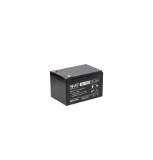 АКБ БАСТИОН SKAT SB 1212 AGM 12V 12Ач I зар.3,6 А, F2, гарантия 18 мес (2535)