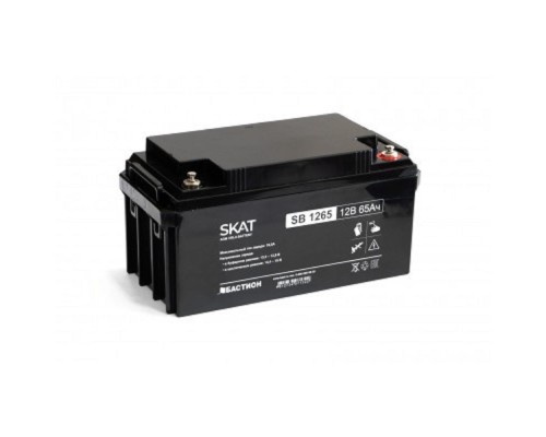 [Скат ] АКБ БАСТИОН SKAT SB 1265 AGM 12V 65Ач I зар.19,5А клеммы под болт М6, гарантия 18 мес (2541)