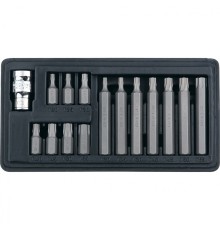 STELS Набор бит TORX, хвостовик-шестигранник, 10 мм, CrV, 15 предм. [11315]