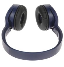 Panasonic RB-HF420BGEA (Мониторные Bluetooth наушники (Синий)