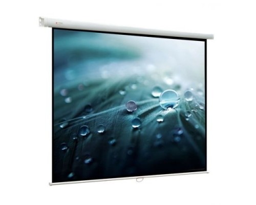 [Экраны ViewScreen] Viewscreen Lotus WLO-16108 Экран ручной (16:10) 406*305 (394*246)  MW