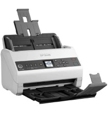 Epson WorkForce DS-730N (B11B259401)