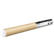 Термопленка Cactus CS-FILM-R-MPC2551 для Aficio MPC2551/MPC2051