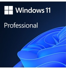 FQC-10572 Win Pro 11 64-bit All Lng PK Lic Online DwnLd NR