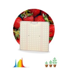ЭРА Б0047876 Б0053285 Квантум борд FITO-80W-LED-QB Quantum board фитопрожектор полного спектра 80 Вт 3500К